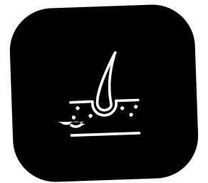 Complexe de Croissance