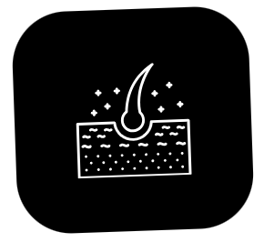 Équilibre du Cuir Chevelu